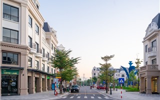 Một lần đầu tư – ba dòng thu nhập: Công thức lợi nhuận bền vững tại Asia Vibe