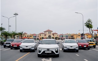 Vingroup triển khai chương trình "Vì tương lai xanh" lần 2