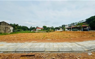 Đất nền "soán ngôi" chung cư, dẫn dắt thị trường bất động sản quý I/2025 