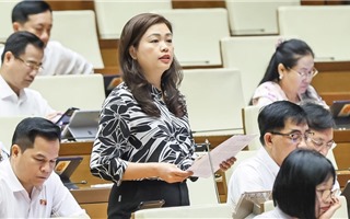 Sáng nay Quốc hội thông qua việc sáp nhập tỉnh thành 
