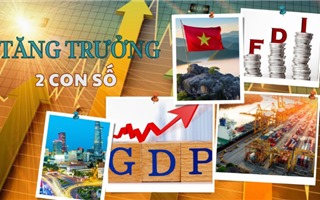  Đổi mới mô hình tăng trưởng: Việt Nam học được gì từ các nền kinh tế đi trước? 