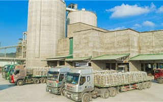  Doanh nghiệp vật liệu thắng lớn trong quý II/2025 