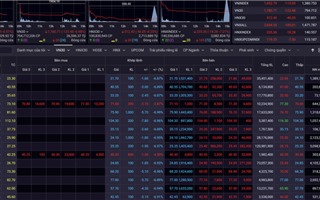 Chứng khoán giảm sâu, cổ phiếu bất động sản “nằm sàn”