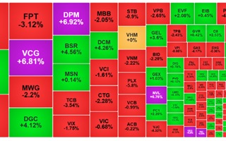 Thị trường chứng khoán rung lắc, lộ diện những cổ phiếu đang định giá thấp 