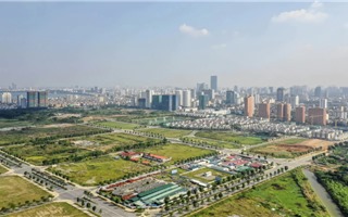 Đấu giá đất nền "sốt" trở lại: Ai đang xuống tiền? 
