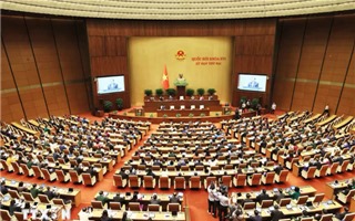 Quốc hội làm việc, thảo luận về Luật điện lực, Luật báo chí và dự án luật khác
