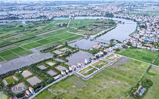 Đấu giá đất sôi động: Ngân sách tăng nhưng rủi ro thị trường tiềm ẩn?