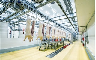  Đem tiện nghi đô thị đến từng con đường nông thôn 