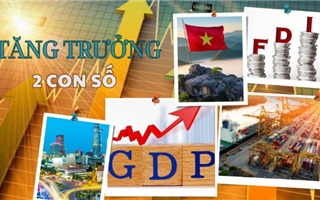  Đổi mới mô hình tăng trưởng: Việt Nam học được gì từ các nền kinh tế đi trước? 