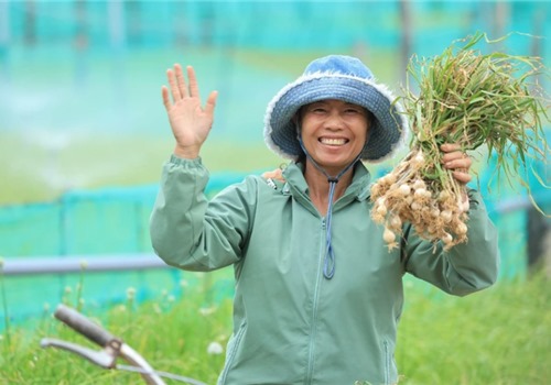  Nam Ngư cùng nông dân đảo Lý Sơn phát triển kinh tế địa phương 